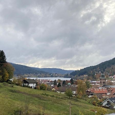 Entre Lac Et Pistes De Ski Gerardmer Exterior photo